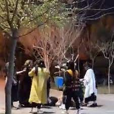 فیلم رقص مختلط و سرو مشروب در تور دریاچه سد دز و شهیون دزفول